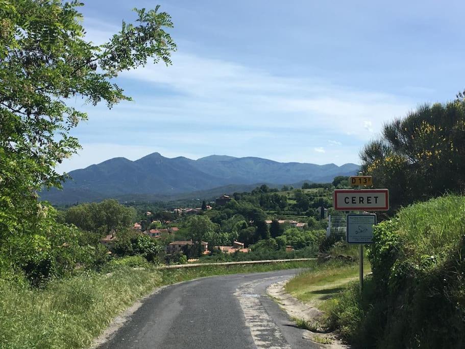 Au Coeur De Ville Avec Terrasse Céret Esterno foto
