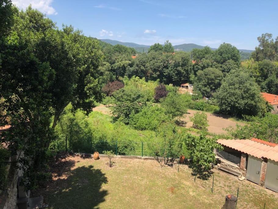 Au Coeur De Ville Avec Terrasse Céret Esterno foto